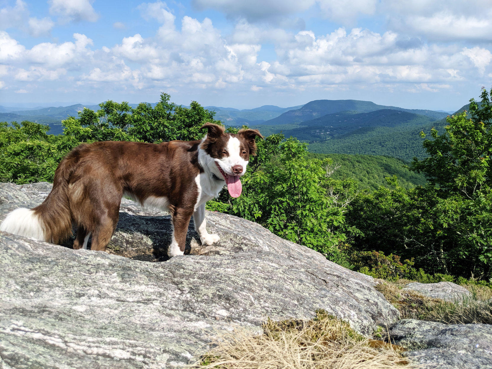 hike 7.jpg